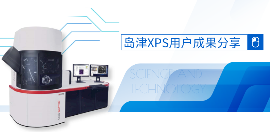 开元（中国）XPS用户